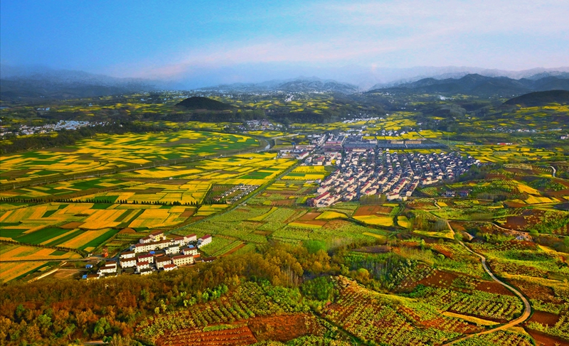 陕西省汉中市洋县城北朱鹮生态园-邓军 摄.jpg