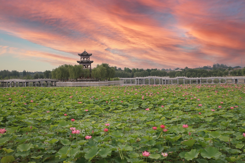 陕西省宝鸡市岐山县凤鸣湖-孙同超 摄.jpg 陕西省宝鸡市岐山县凤鸣湖-孙同超 摄.jpg