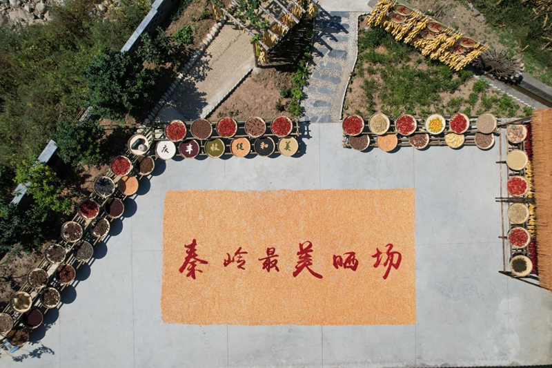 陕西省汉中市留坝县市级“千万工程”示范村——梭椤村“晒秋”-张中奇 摄.jpg
