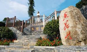 玉露村诞生记：一片叶子唤醒历史回响
