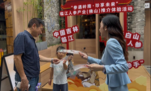东北秧歌“扭”进岭南茶铺 临江人参“渗”入佛山古街