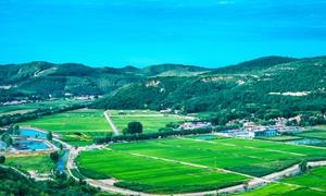 富县直罗镇：探索乡村振兴新路径