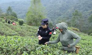 雪域边疆的“暖心答卷” ——从嘎拉村到万千“桃花村”的守护