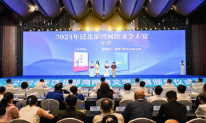 第一届“白海豚杯”网络文学大赛启动