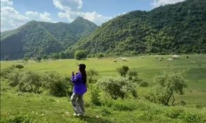 秦岭夏韵看留坝：一座山区小县的“两山”实践样本