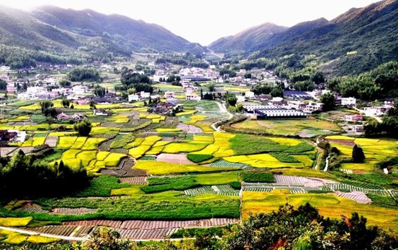 和春村景色.jpg