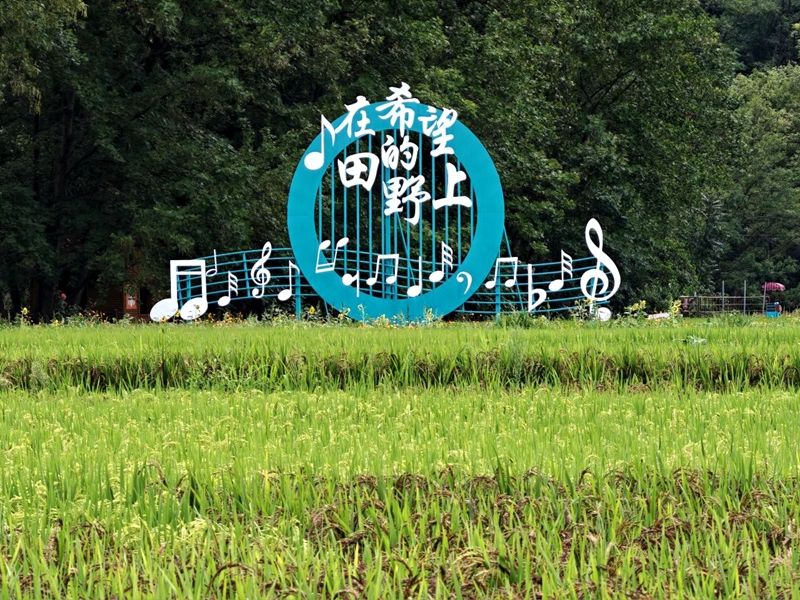 图片2.jpg 图片2.jpg