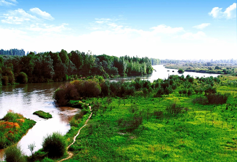 甘肃民勤石羊河国家湿地公园绿意爱盎然,荒漠生态修复显成效.jpg 甘肃民勤石羊河国家湿地公园绿意爱盎然,荒漠生态修复显成效.jpg