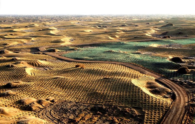 甘肃民勤连片沙障如巨网铺开,将流动沙丘牢牢锁住,为治沙造林筑牢根基.jpg 甘肃民勤连片沙障如巨网铺开,将流动沙丘牢牢锁住,为治沙造林筑牢根基.jpg