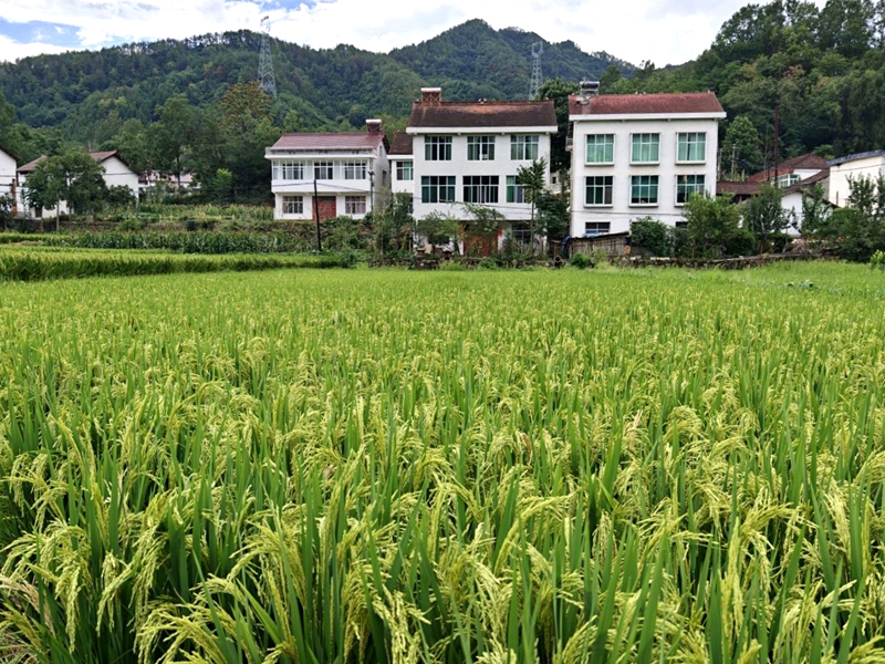 图片3.jpg 图片3.jpg