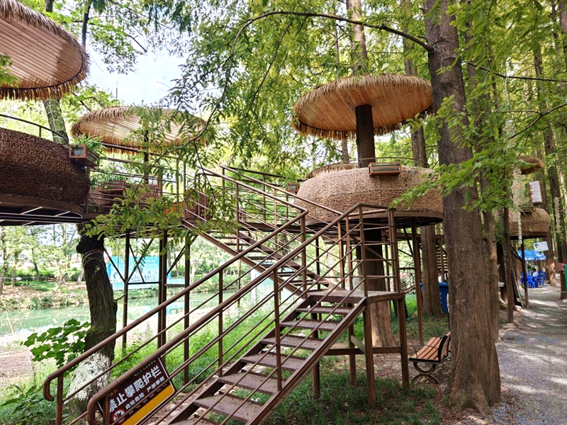 图片6.jpg 图片6.jpg