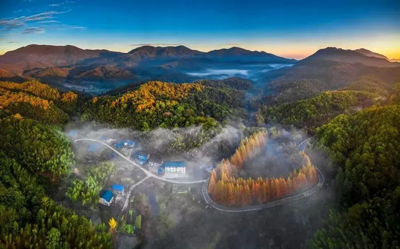 640 (2).jpg 640 (2).jpg