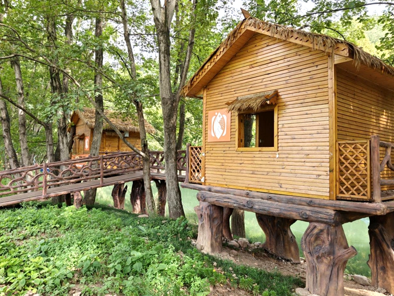 图片7.jpg 图片7.jpg