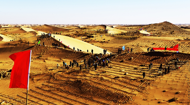 甘肃民勤干部群众用麦草编织“格子衫”,为沙漠“锁边”.jpg 甘肃民勤干部群众用麦草编织“格子衫”,为沙漠“锁边”.jpg