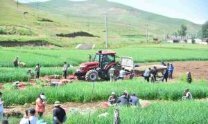 探索“西宁国家凉冷蔬菜黄金种植区”媒体调研活动