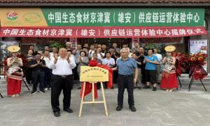 青山不负廿载功 “两山硕果”铺就乡村振兴路