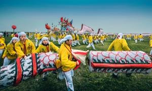 南京市溧水区:非遗赋能乡土 骆山大龙舞出乡村振兴的“精气神”