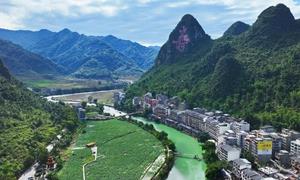  寿乡大道：激活巴马“长寿密码” 铺就振兴坦途