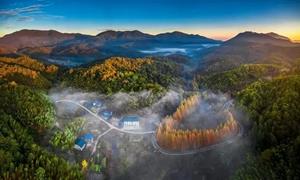 专家组实地考察 为“中国绿都”三明市旅居发展建言献策