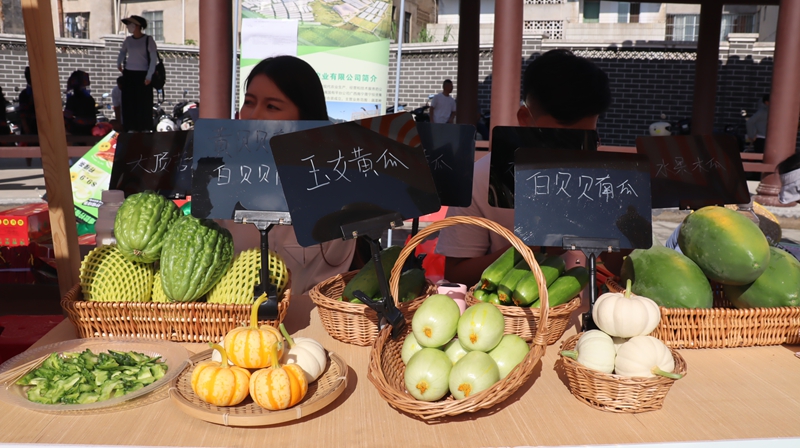 大顶苦瓜、贝贝南瓜、水果黄瓜、水果木瓜等特色农产品.jpg