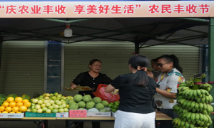 南宁市江南区：“体育+农业”欢庆丰收