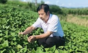 常红柱：军装可脱 军魂不褪