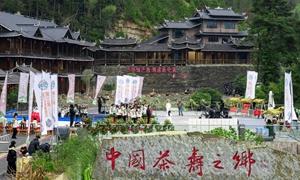 新化县奉家镇：党建引领，茶香四溢，写活产业“茶文章”