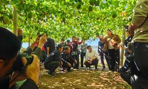 山西农技学员赴洛阳伊川考察中药材种植技术