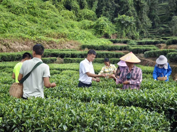 走马镇:“调解+”轻抚八年“心茧” 奏响乡村振兴平安和弦