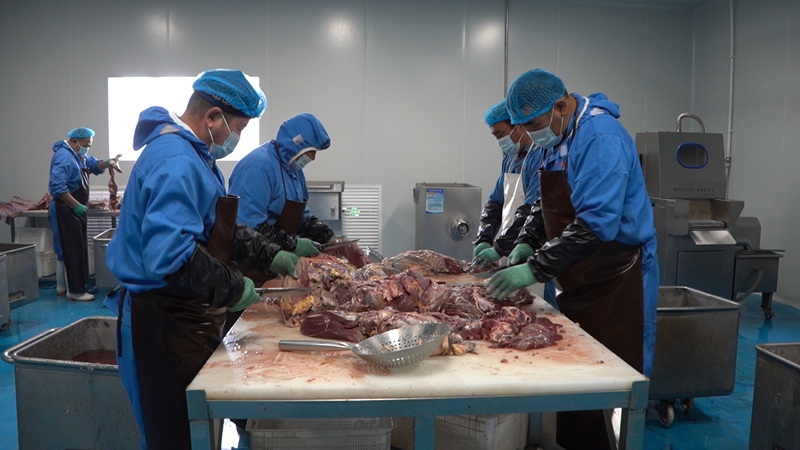 牧百顺食品有限公司工人正在对马肉进行分拣.jpg