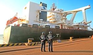 莆田边检站助力东南沿海最大铁矿枢纽港“开门红”