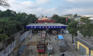 清水河边检站开通“绿色通道”保障甘蔗高效通关