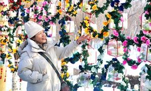 五家渠市：打造多维冰雪体验 “冰雪+”加出无限精彩