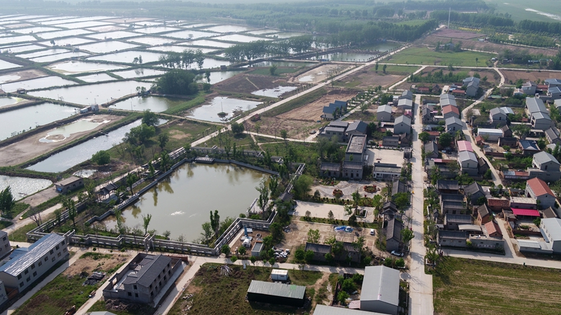 九堡村航拍全景（刘胜利摄）.jpg
