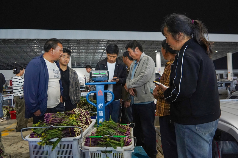 9月21日，在贵州威宁江楠物流园，菜农和收购商在核对称重数据。（赵庆能 摄）.jpg