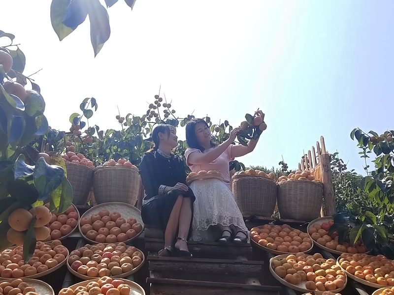 卢梦林与游客欣赏晾晒柿饼     涂昆摄.jpg
