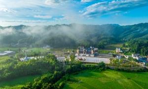 江西遂川横石村：红色热土上的绿色崛起