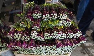 24小时,从乌蒙山到广州餐桌 威宁红菜苔的“鲜度竞速”