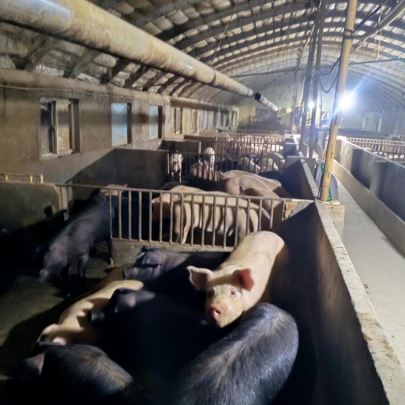 图片3.jpg 图片3.jpg