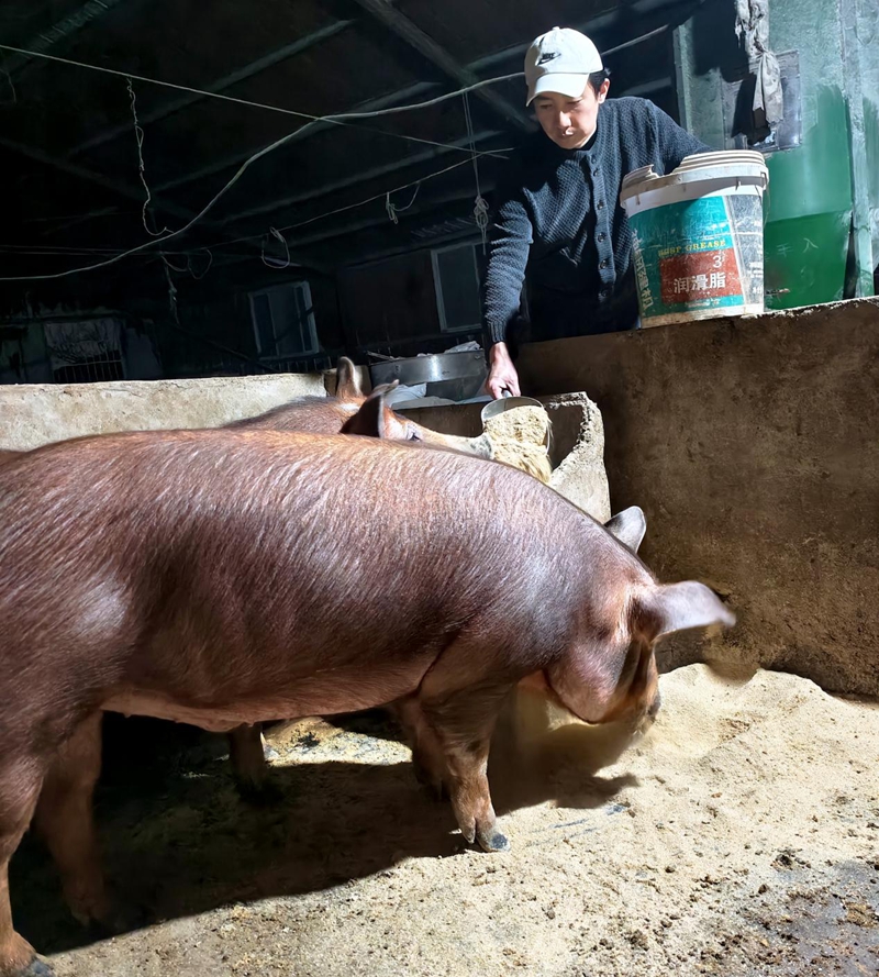 图片1.jpg 图片1.jpg