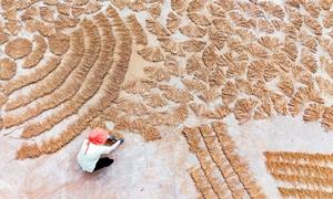 湖北恩施：一碗板党鸡汤 满屋桑梓深情