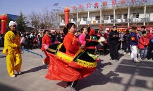 “企业+合作社+农户” 徐杨村蹚出振兴路