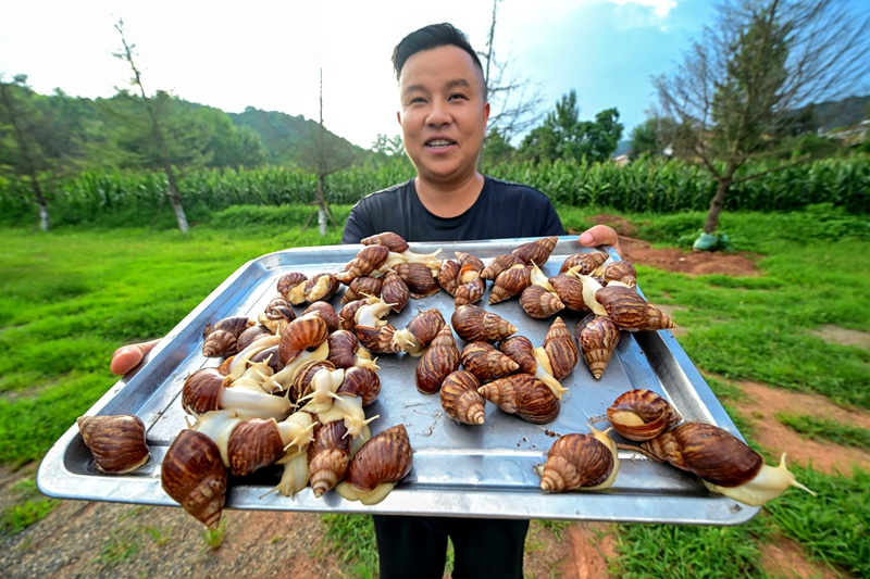 旧县白玉蜗牛 (3) 赵明辰摄.jpg 旧县白玉蜗牛 (3) 赵明辰摄.jpg