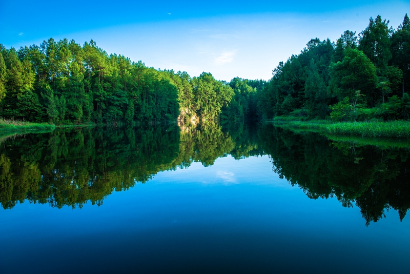 朱德故里景区柏杨湖.jpg 朱德故里景区柏杨湖.jpg