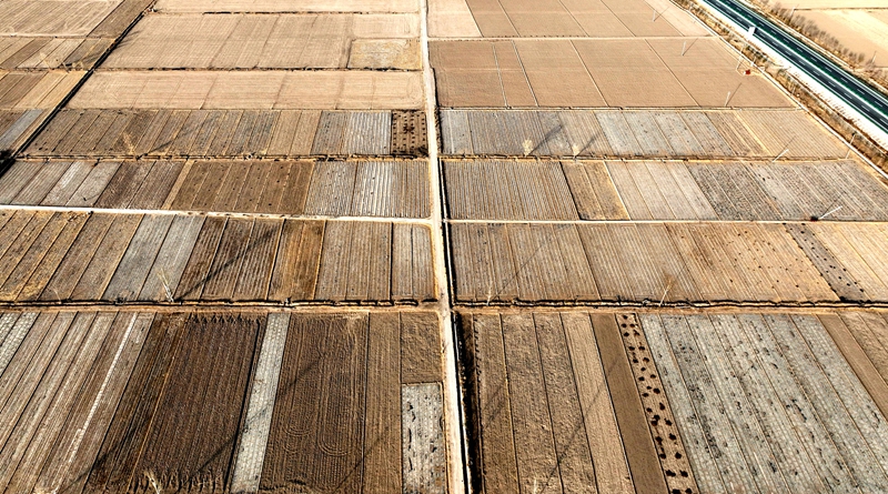 民勤高标准农田建设现场.jpg 民勤高标准农田建设现场.jpg