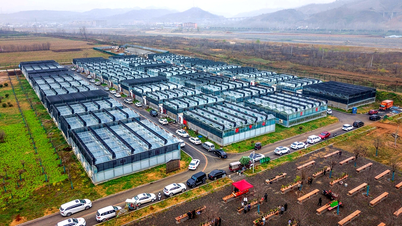 伏牛山兰花产业园 赵明辰摄.jpg 伏牛山兰花产业园 赵明辰摄.jpg