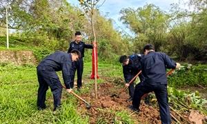 植绿护边守春光