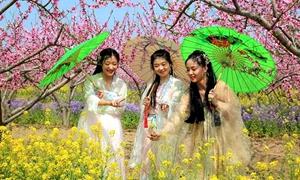 以花为媒促发展:西华县第二十二届桃花赏游季开幕