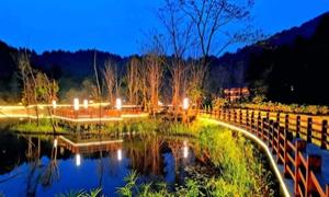 仪陇商业模式与营收闭环：从流量爆红到长效变现