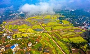 看得见的农旅融合 仪陇文旅带动乡村共富